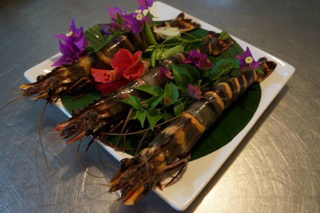 Lemon Creek Hotel Resort Bijilo ภายนอก รูปภาพ
